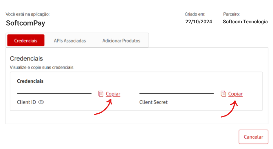 Detalhes do Client ID e Client Secret.